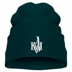 Дитяча шапка Воля - PrintSalon