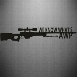 Наклейка We know what's awp - PrintSalon