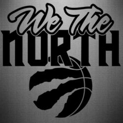 Наклейка We the north and the ball - PrintSalon