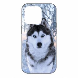 Чохол для iPhone 14 Pro Winter Husky - PrintSalon
