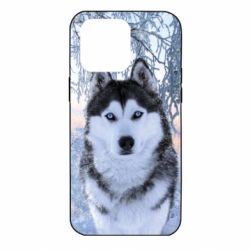 Чохол для iPhone 14 Pro Max Winter Husky - PrintSalon