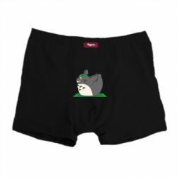 Трусы-боксеры Yoga totoro - PrintSalon
