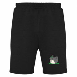 Мужские шорты Yoga totoro - PrintSalon