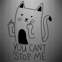 Наклейка You cant stop me