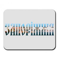 Килимок для миші Запоріжжя