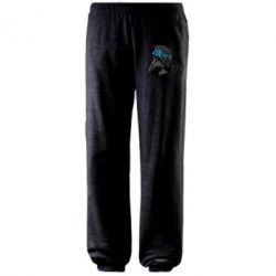 Штаны Zoom - PrintSalon