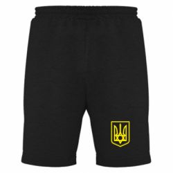 Мужские шорты Звезда Давида+герб - PrintSalon