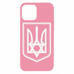Чехол для iPhone 12 Pro Max Звезда Давида+герб - PrintSalon